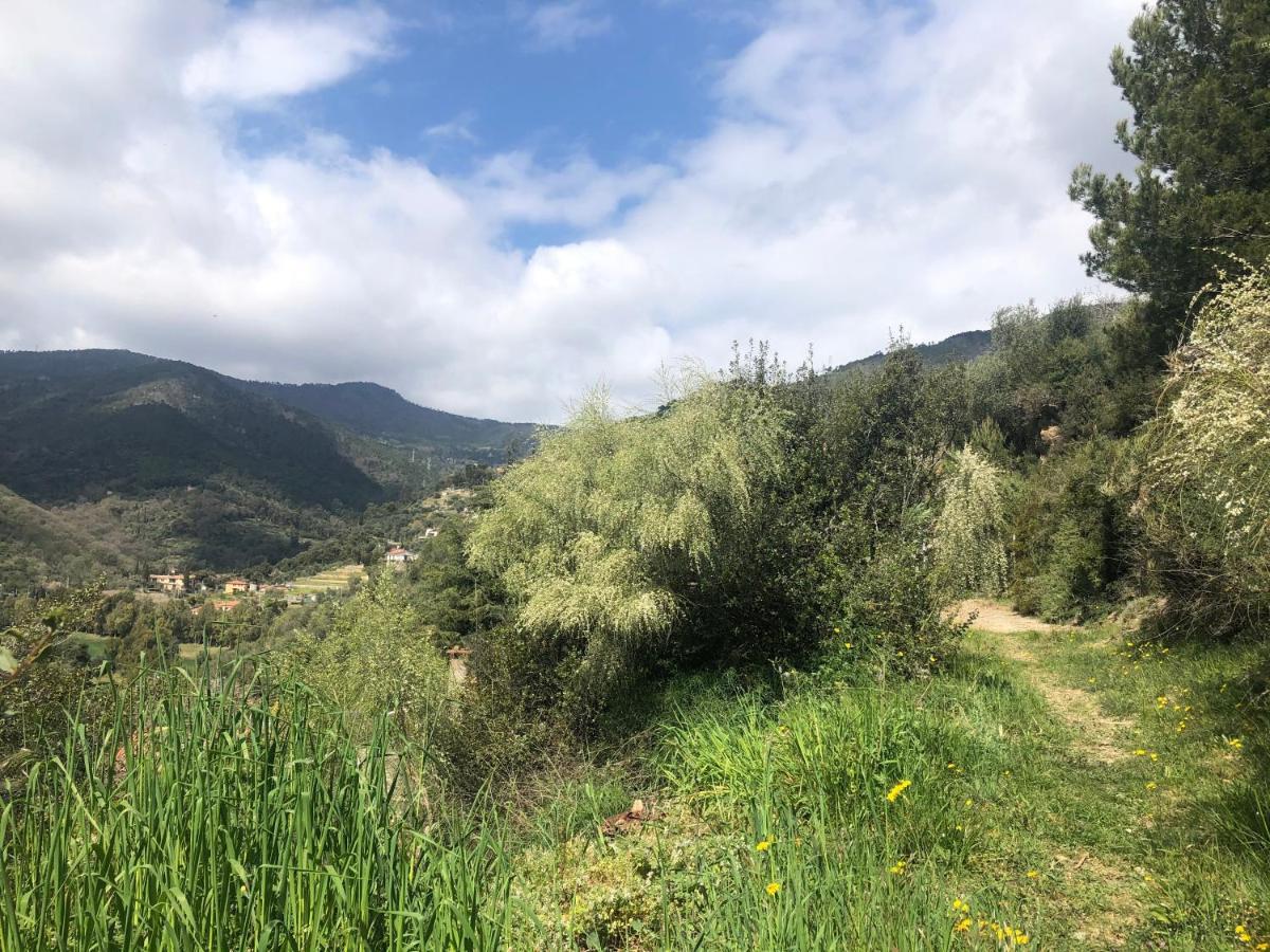Villa D'Artisti Sanremo Eksteriør billede