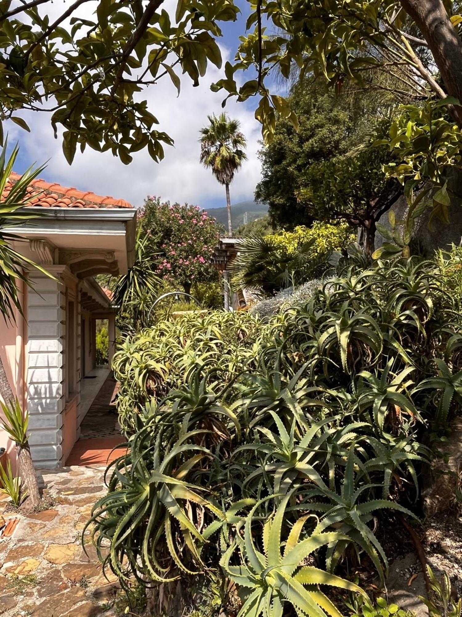 Villa D'Artisti Sanremo Eksteriør billede
